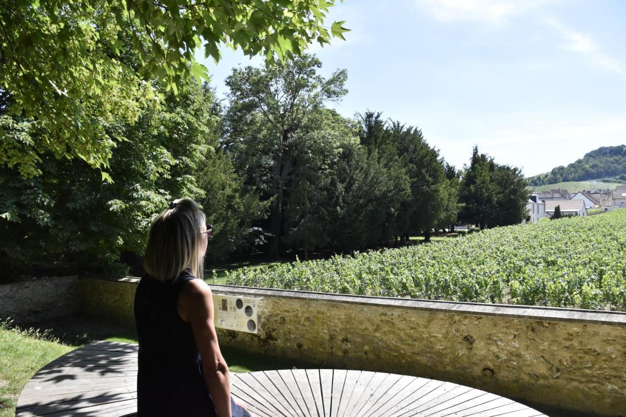 Apartament Les Bulles Blanches Avize Zewnętrze zdjęcie